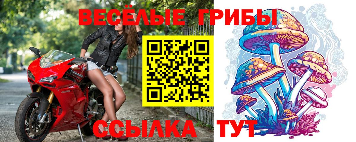 Галлюциногенные грибы Magic Shrooms  Вход с VPN  дарнет шоп  Нефтекамск 