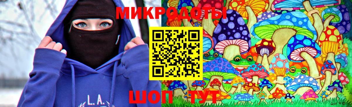Псилоцибиновые грибы Psilocybe Нефтекамск